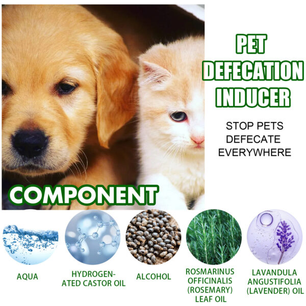 Yegbong Pet Positioning Toilet Inducer Pet Toilet Positioning Toilet Trainer - Image 6