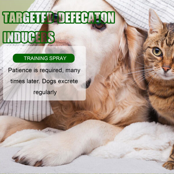 Yegbong Pet Positioning Toilet Inducer Pet Toilet Positioning Toilet Trainer - Image 2